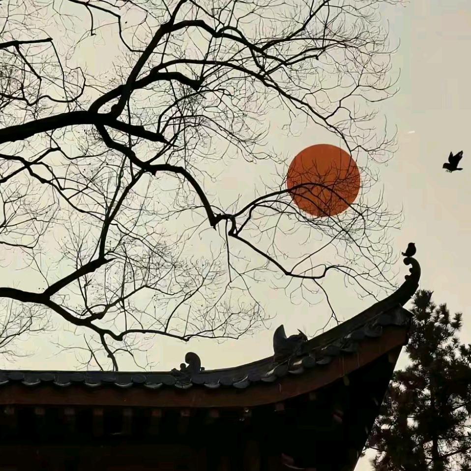 沧浪