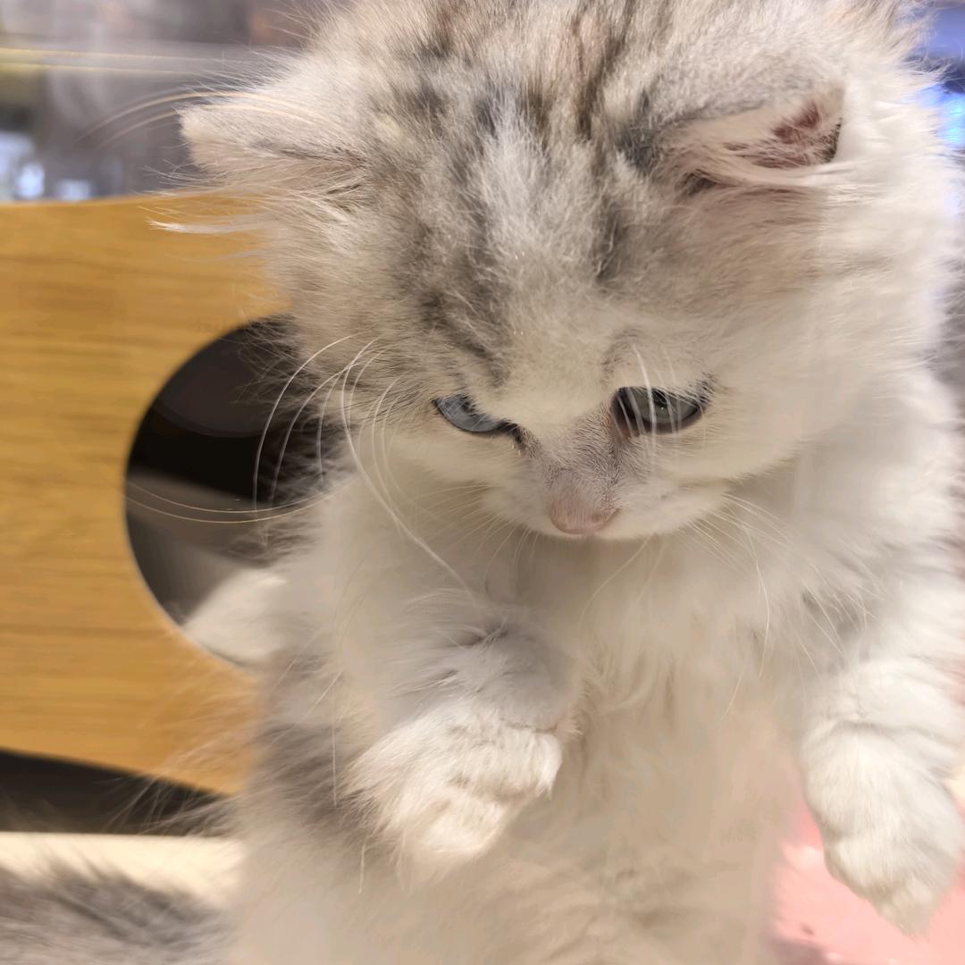 🌈♥福宝不是小呆瓜♥🌈