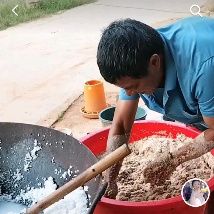 生态养殖桃桃