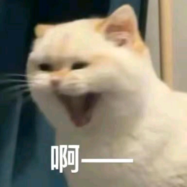 🌈锦鲤附体🌈