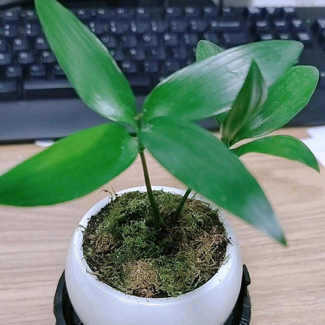 末班车、已到站