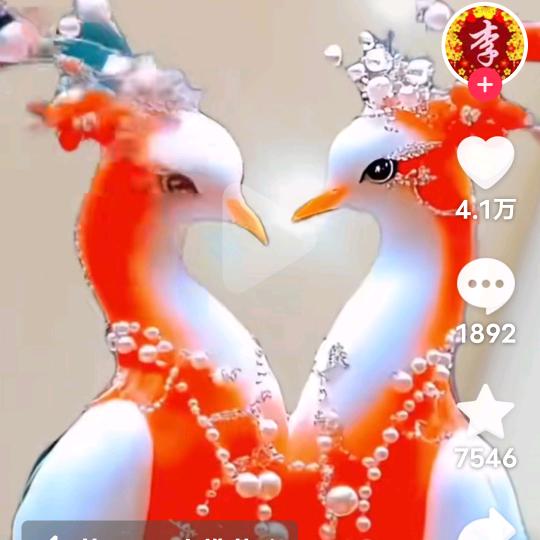 你是我的人