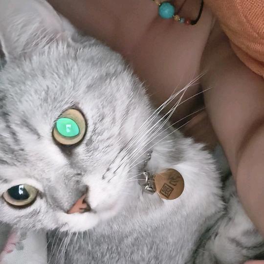 @汤圆