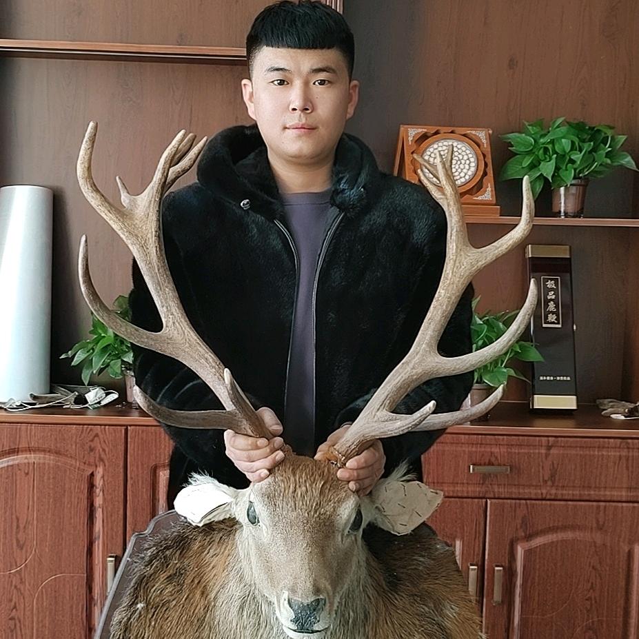 🦌吉林省金瀚梅花鹿繁育基地