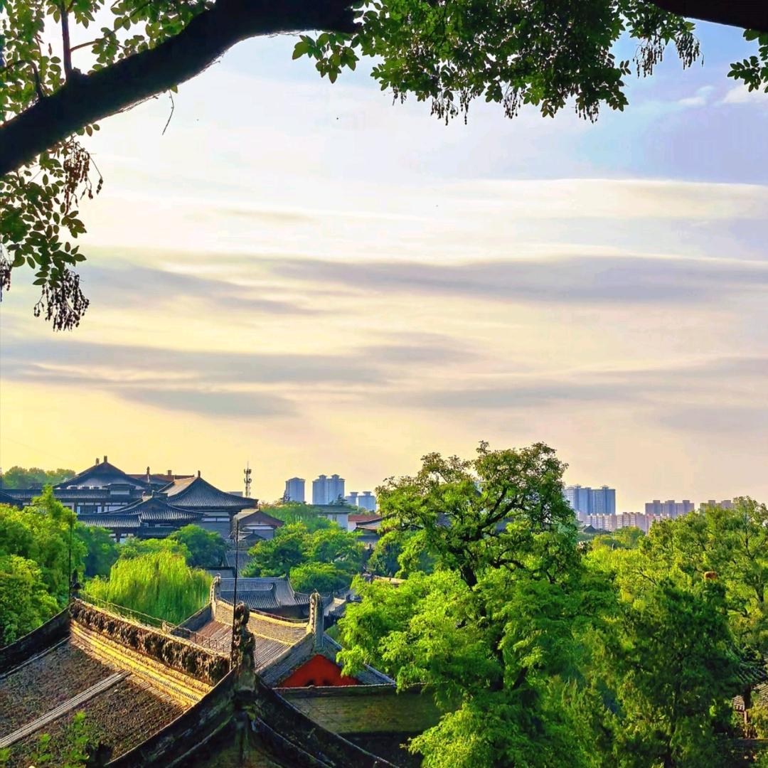 小脚丫走天下