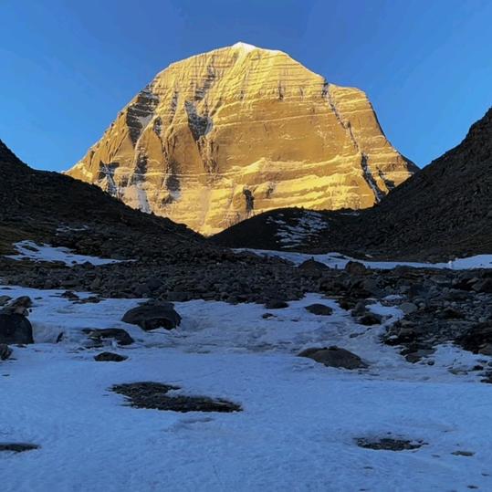 杨春白雪