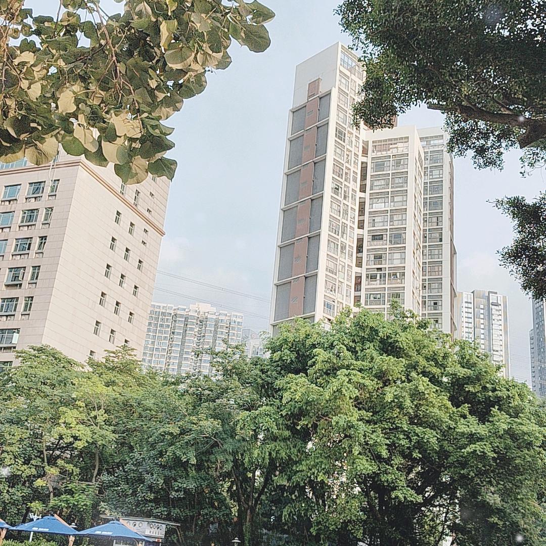 风吹散了。。。。。。