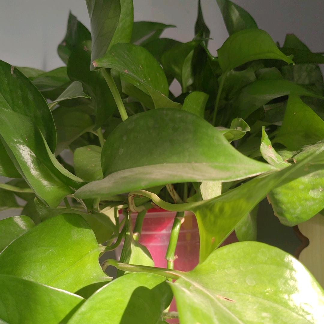 为了美好的明天往前冲