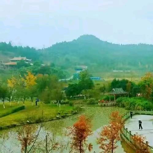 💞春天的雨💟