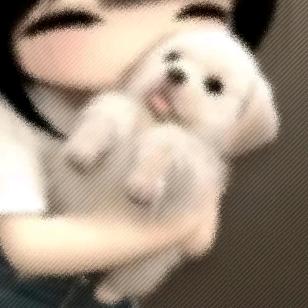 五月花.