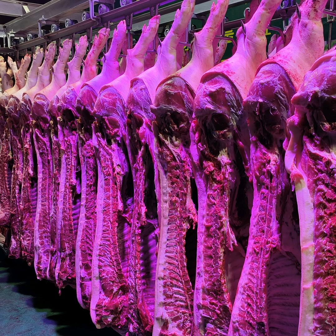 成县鲜肉批发
