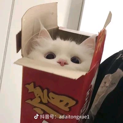 哆啦a梦