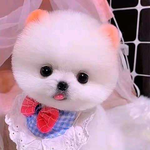 两年后的一天