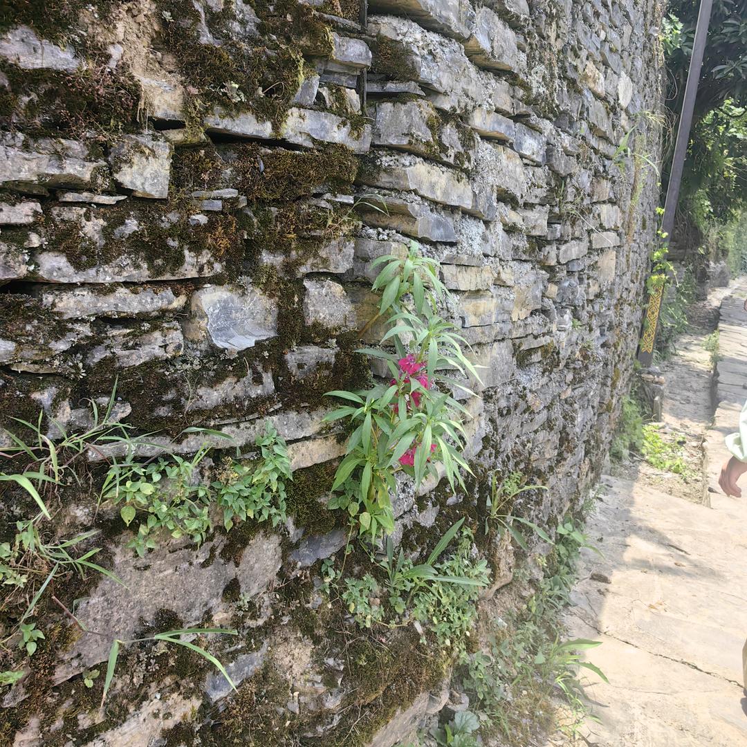 吕丽～牧鑫畜牧设备