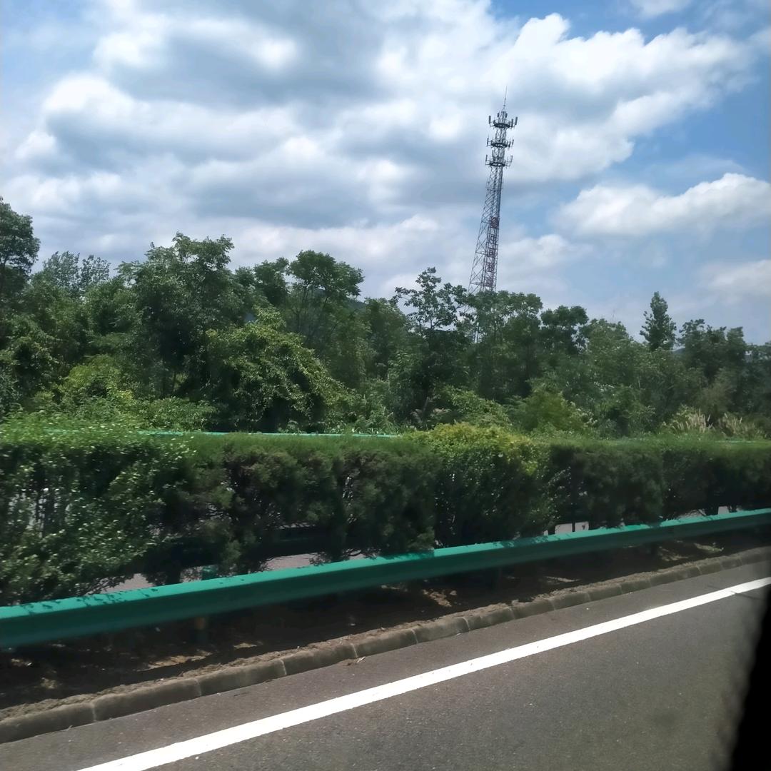 陈网明