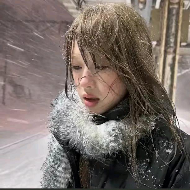 小灰灰头像