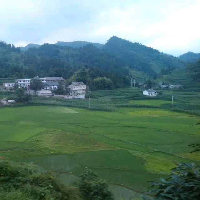 阮洪敬