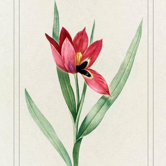 滟涞装饰*^_^*丹姐