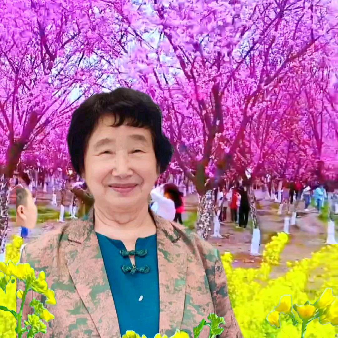 青山绿水