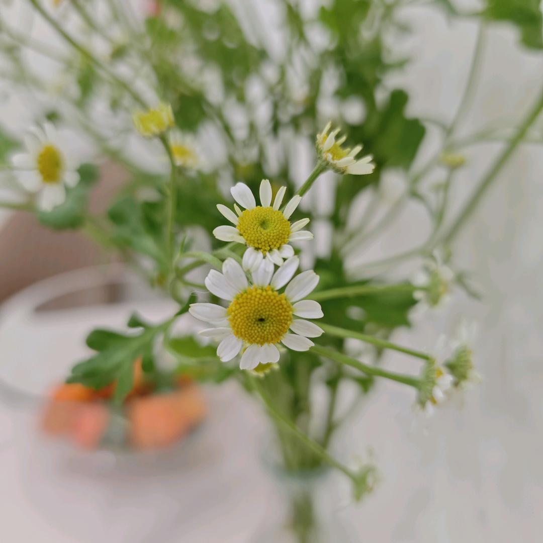 蜀人