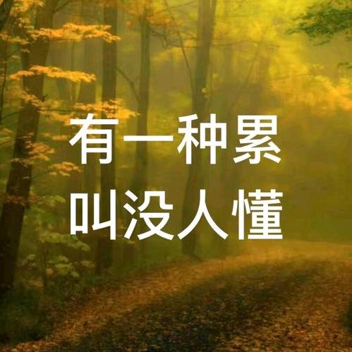 尽在不言中