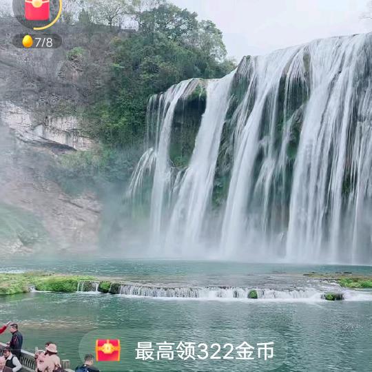 葉葉生辉