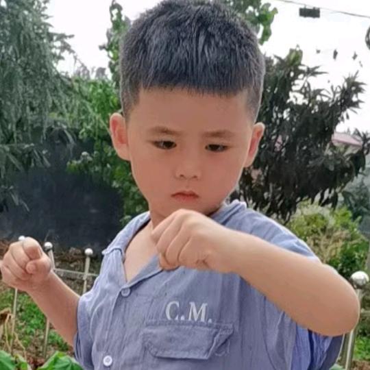 张迪