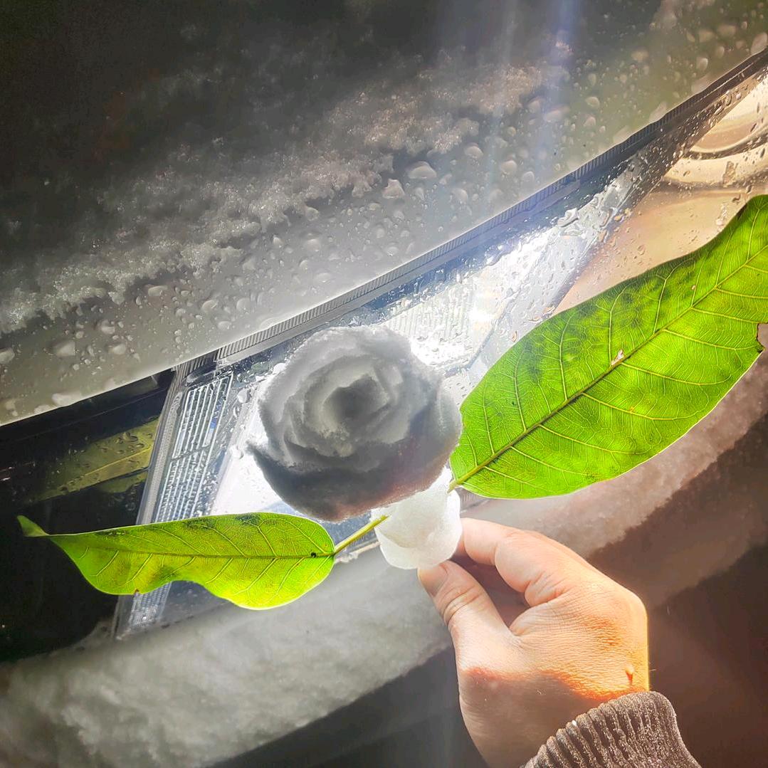 🌈🌈 梓晨——路亚