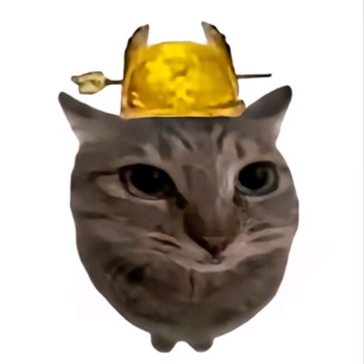 Nn大王