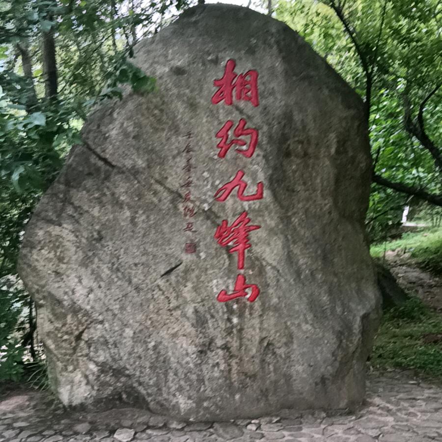 小懒猫