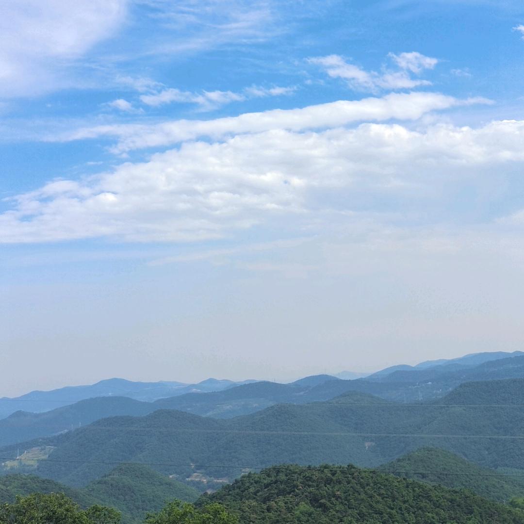 大众生活超市(大窝二路)大众生活超市直播号