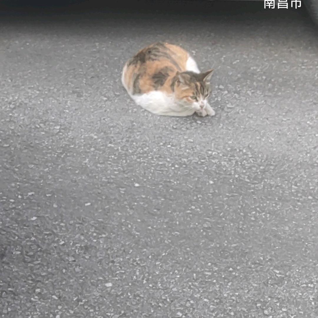 建新