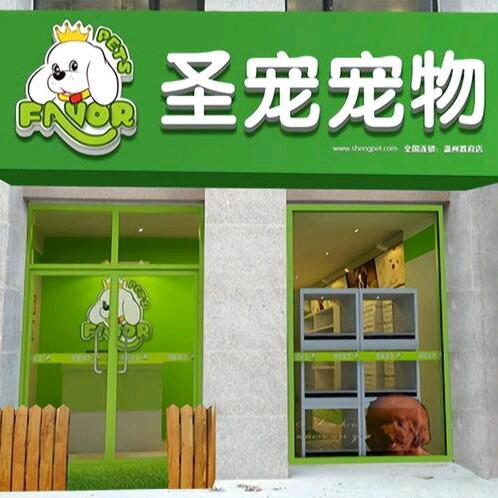青州宠物批发