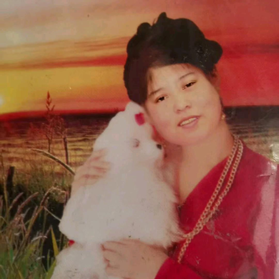 北花花