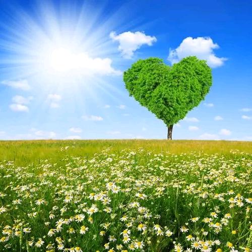 ℋღ᭄岁月❤🌺静好᭄💞࿐