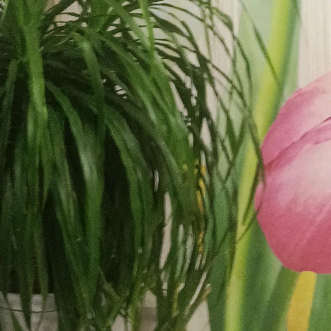 用户6123147298066