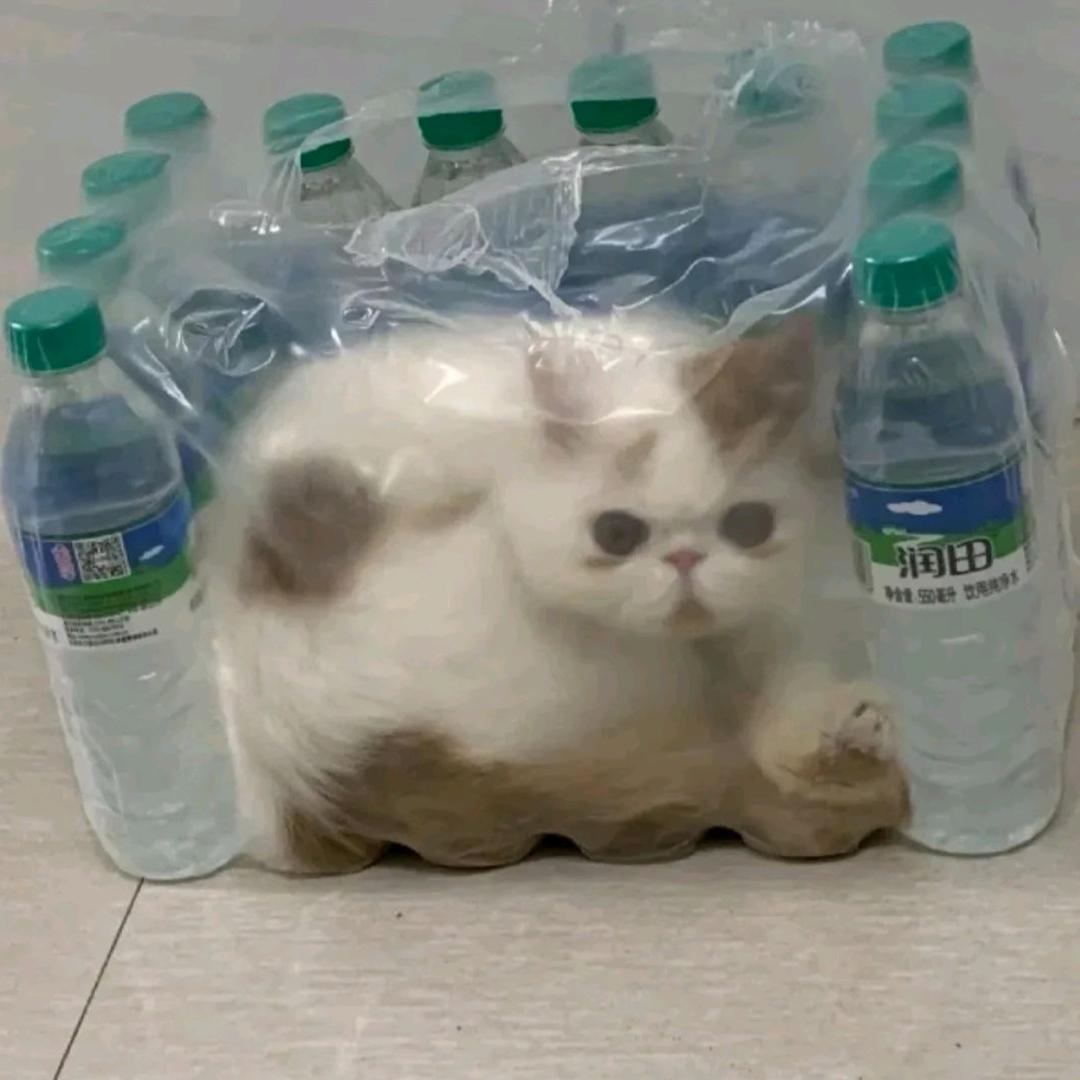 吃货 is me