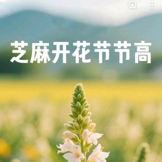 幸运相随(厨窗里收藏东西可购买)