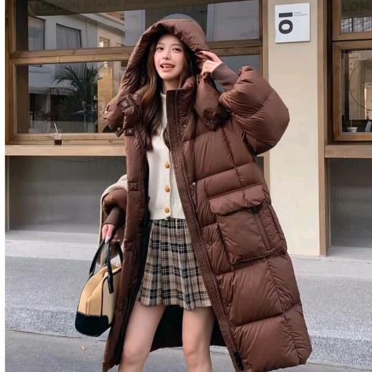 鹿질량명사