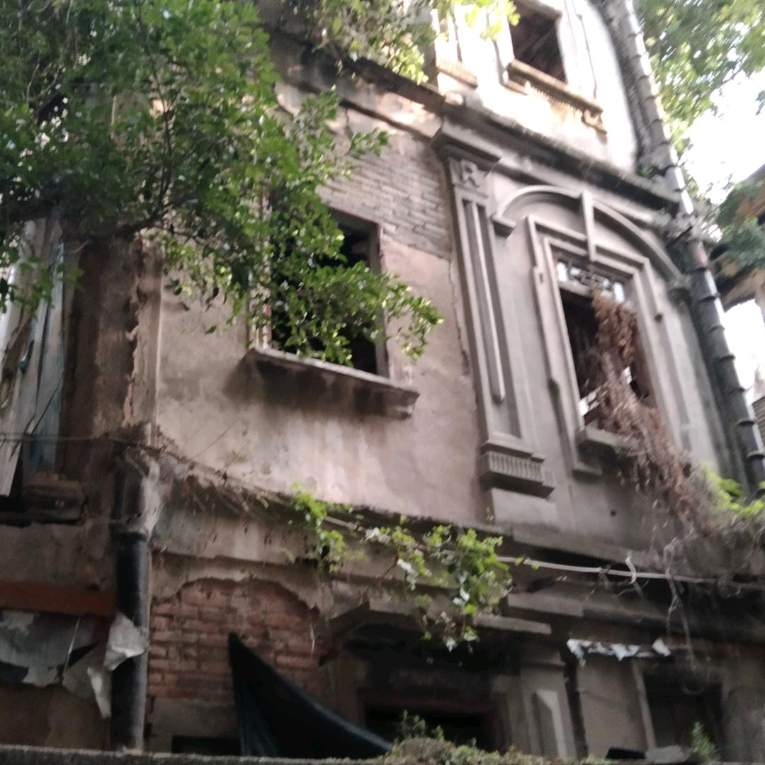 烂在床上的矮冬瓜