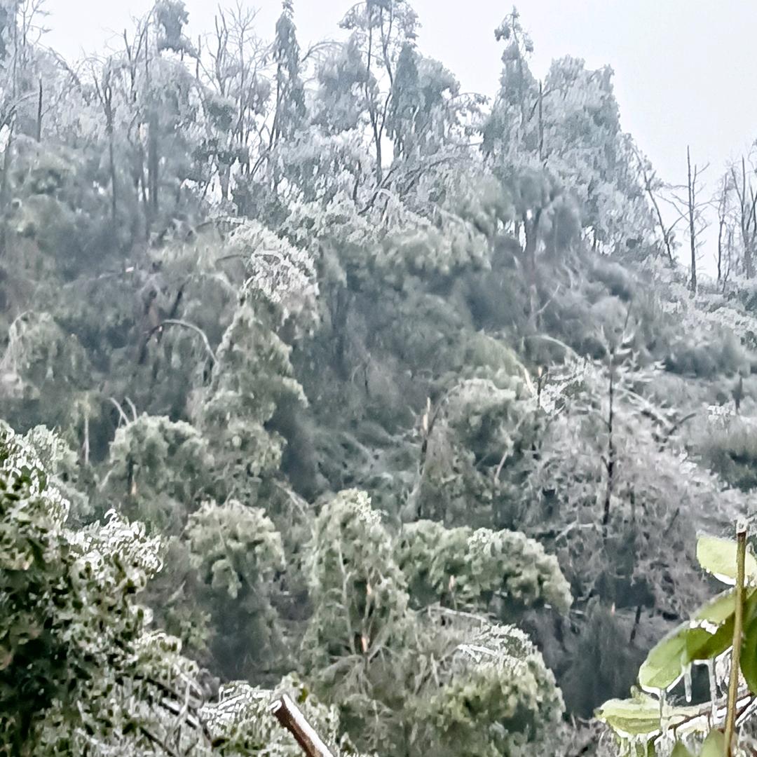 ❄️❄️❄️❄️❄️冰雨❄️❄️❄️❄