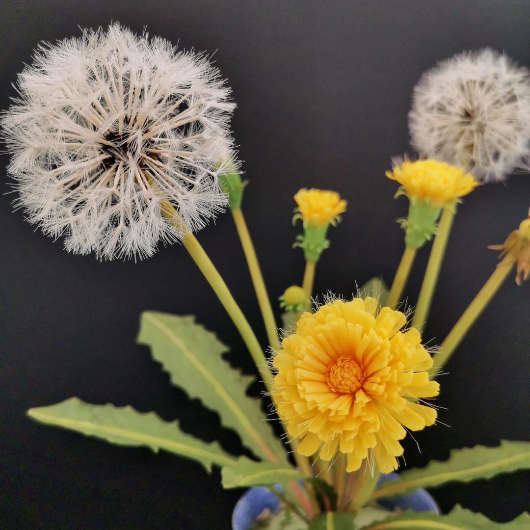 花韵粘土花