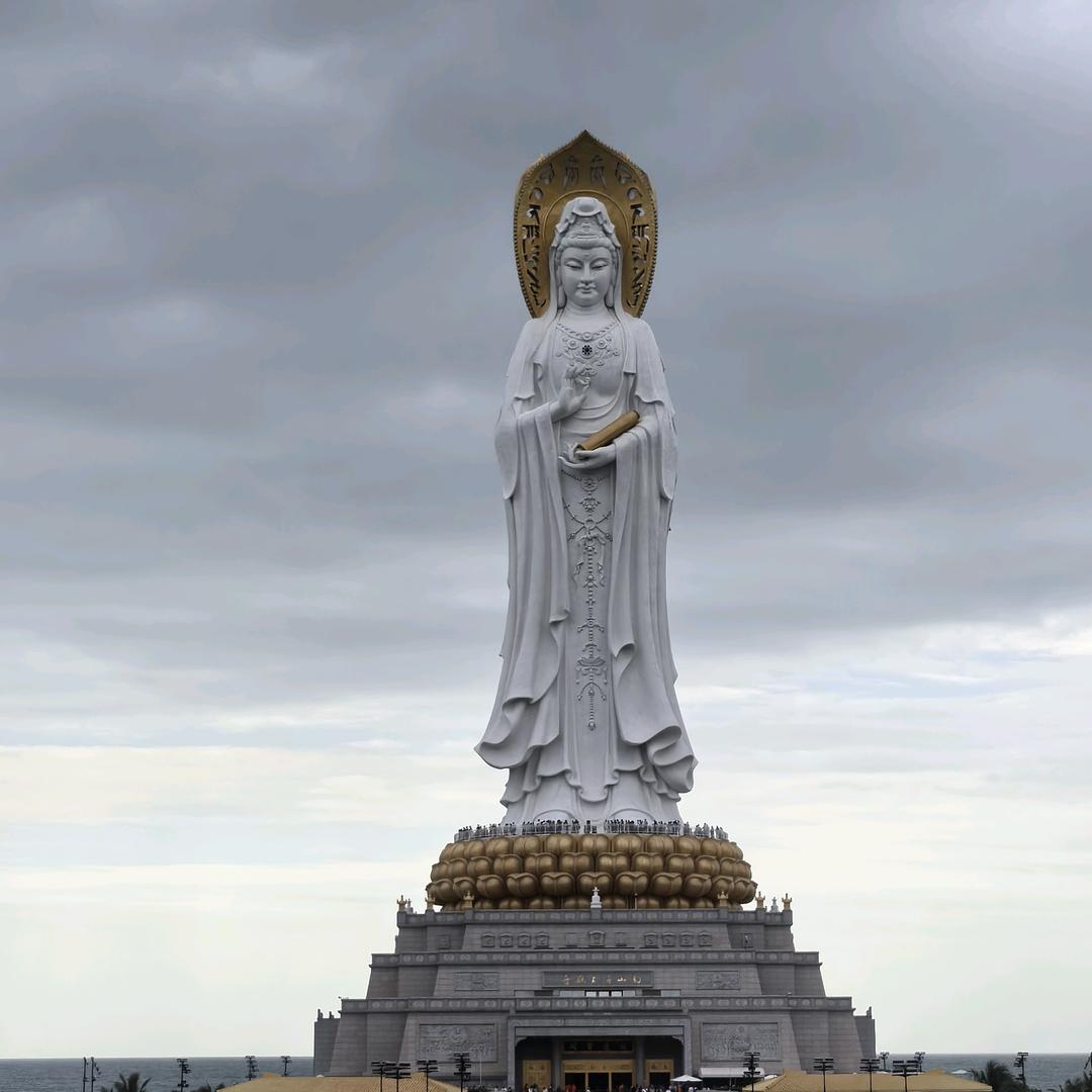 小杨哥