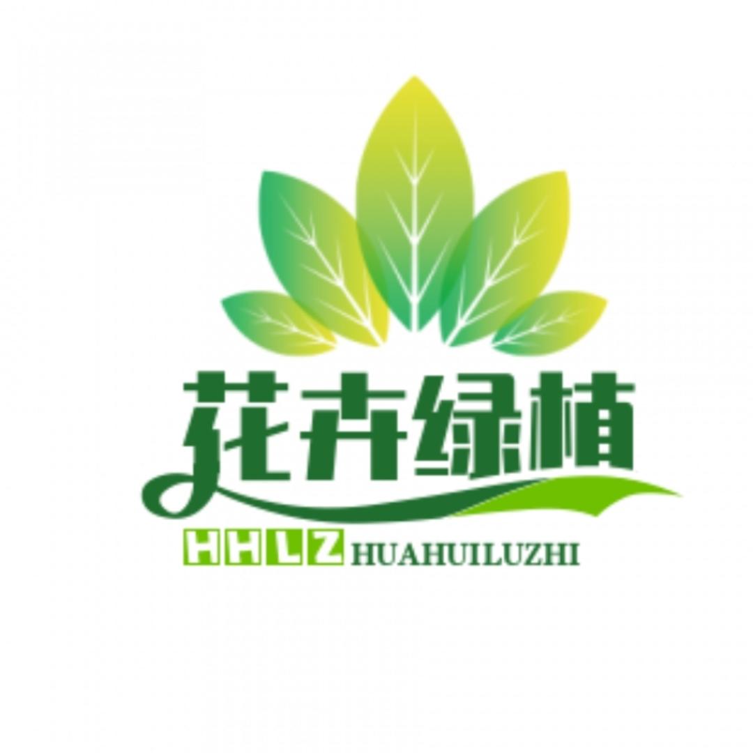大余花卉绿植