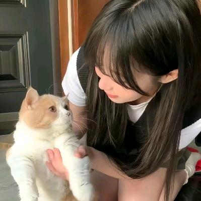 沃达西芋泥酱