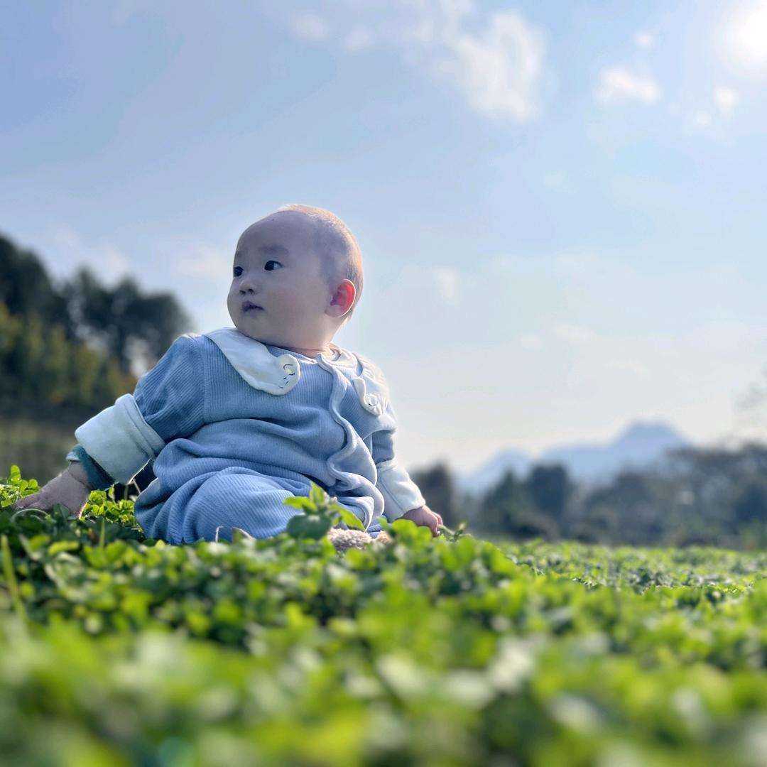 奶牛不喝奶🐮