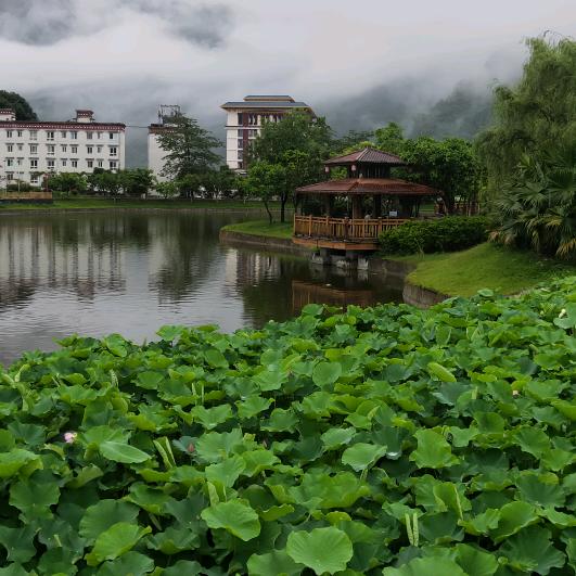 এ᭄雾ꦿ已💔泪聚ོ