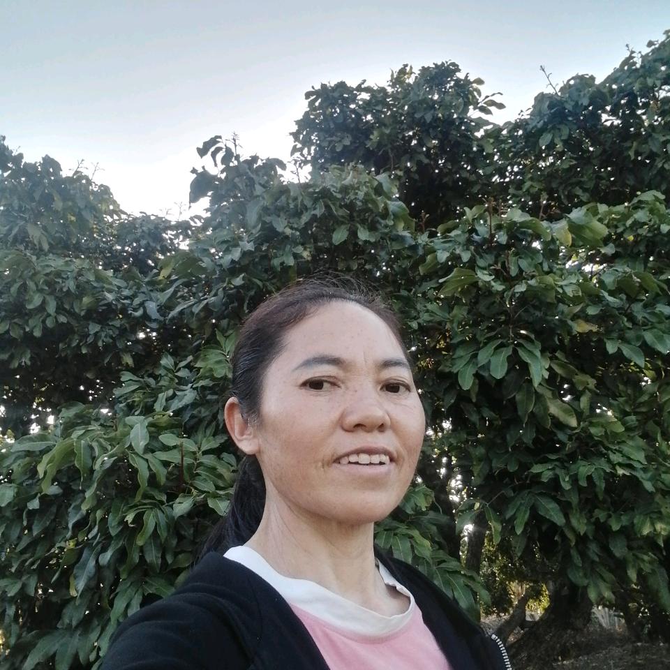 五妹下午2：10首播