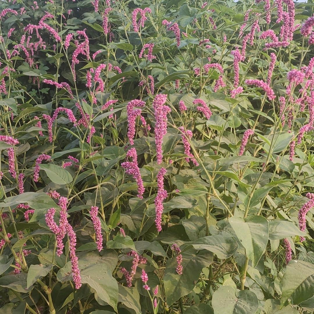 平凡💟岁月