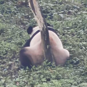 小鬼
